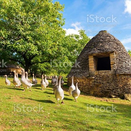 Studio Fontaine D'Amour Sarlat-la-Canéda Kültér fotó