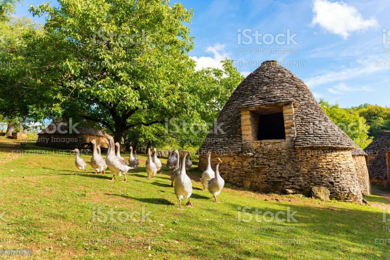 Studio Fontaine D'Amour Sarlat-la-Canéda Kültér fotó
